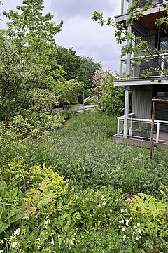 High quality green space (May 2026)