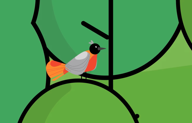 Video link: 251016_GetNaturePositive-DE