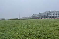 Ausgangszustand: artenarme Fettwiese im Herbst 2024