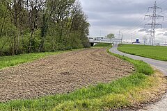 Bodenvorbereitung der Fläche im Frühjahr 2025