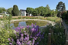 Completed nature project in May 2026