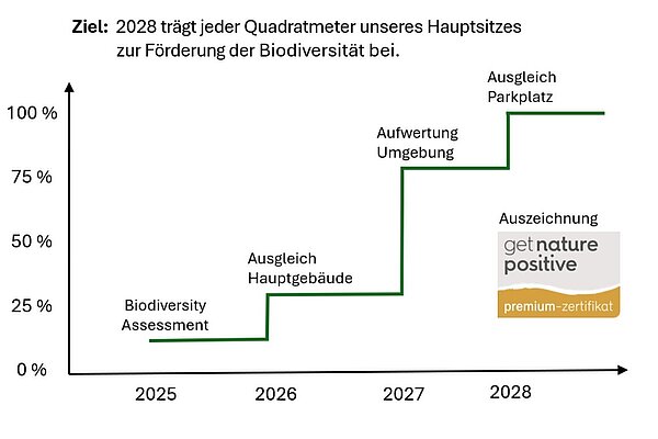 Grafik, die Entwicklungspfad aufzeigt