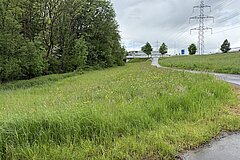 [Translate to English:] Übersicht Naturfläche Wasenbächli Eizmoos in Cham im Mai 2026