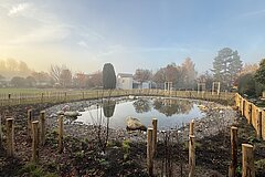 Neu angelegtes Amphibiengewässer, November 2025