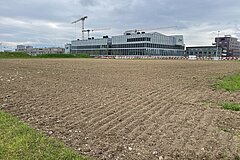 Bodenvorbereitung im Frühjahr 2025